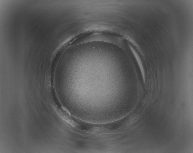 X0000051910399200506241448