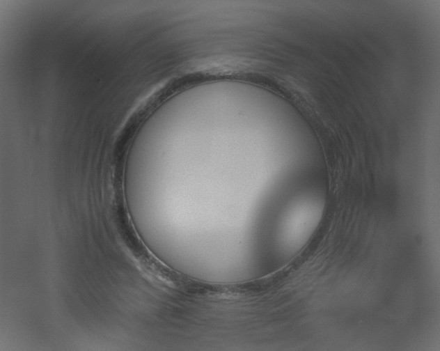 X0000051910400200506241448