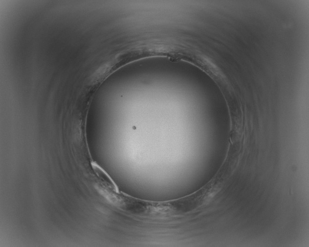 X0000051910401200506241448