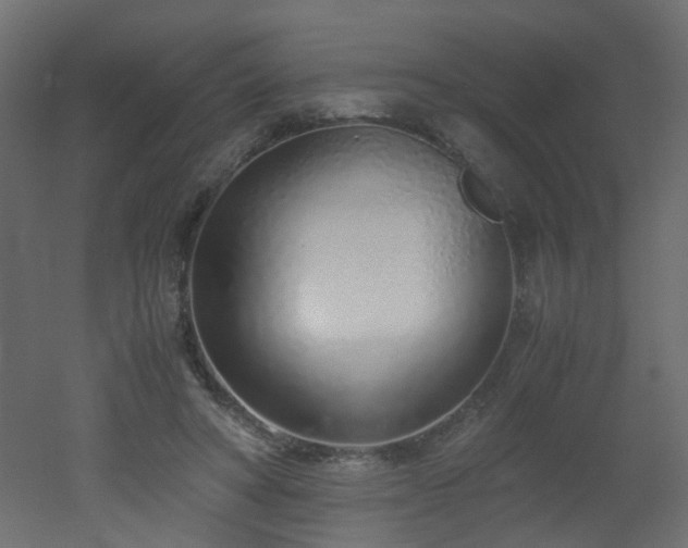 X0000051910402200506241448