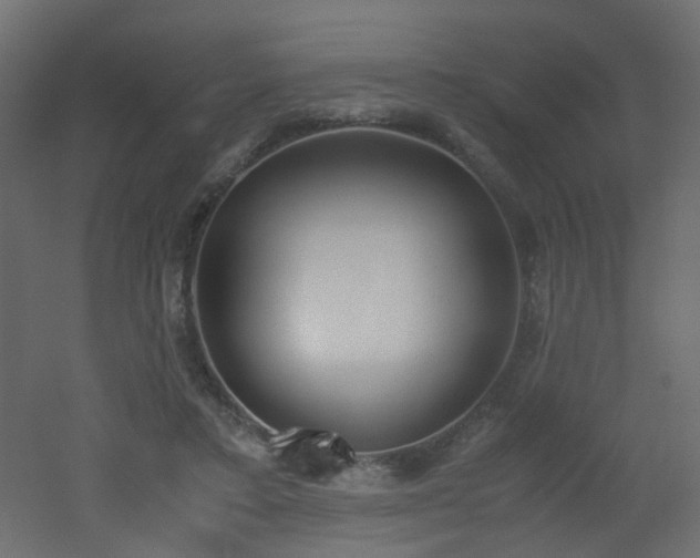 X0000051910403200506241448