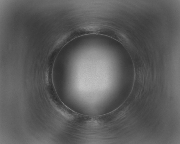 X0000051910404200506241448