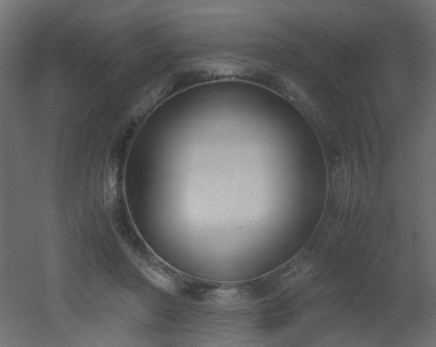 X0000051910406200506241448