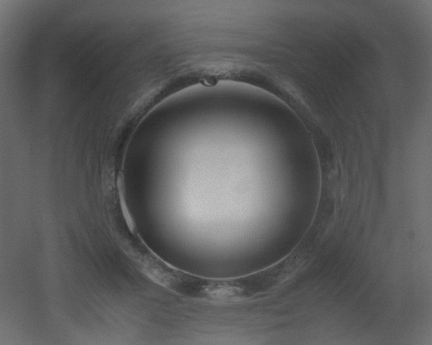 X0000051910407200506241448