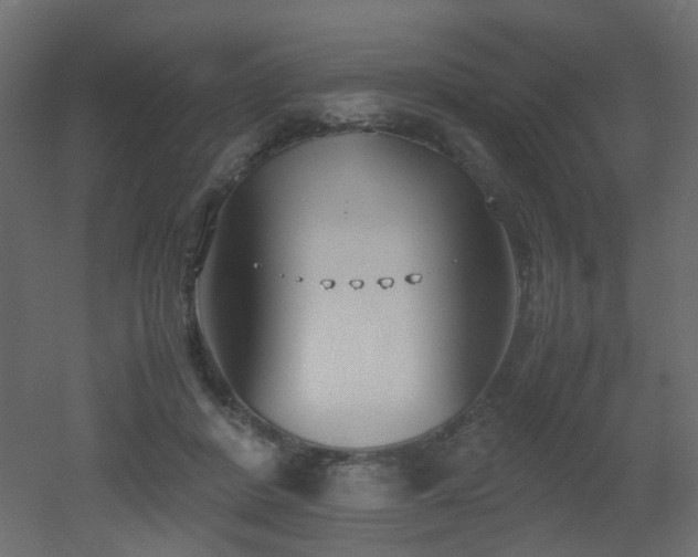 X0000051910408200506241448