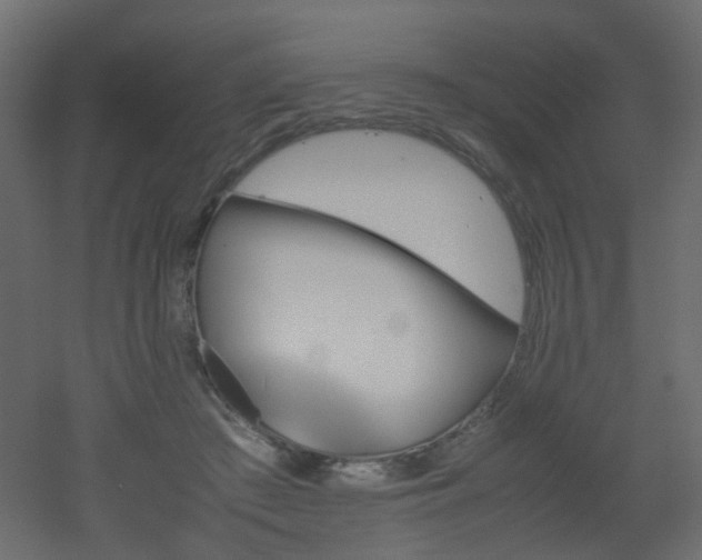 X0000051910409200506241448