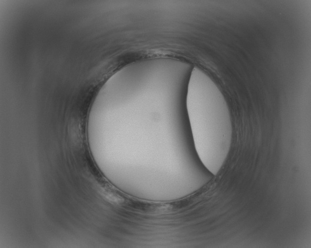 X0000051910410200506241448