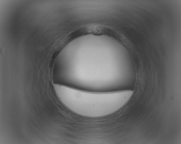 X0000051910413200506241448