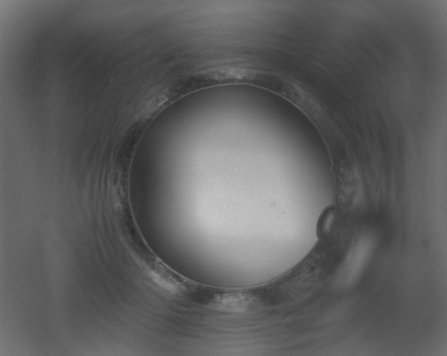 X0000051910414200506241448