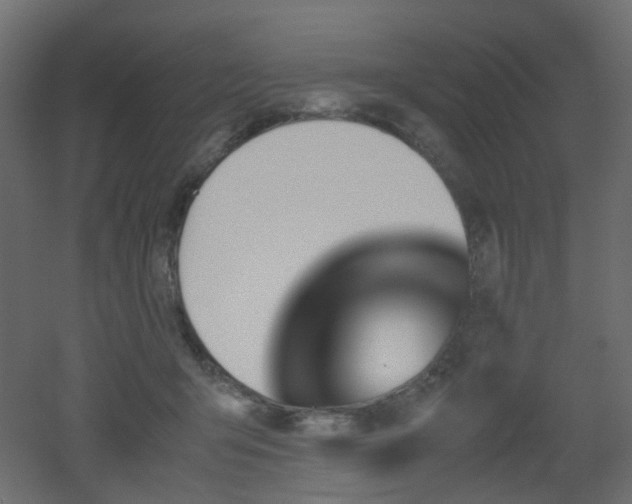 X0000051910415200506241448