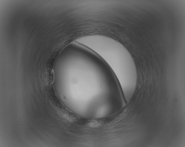 X0000051910416200506241448