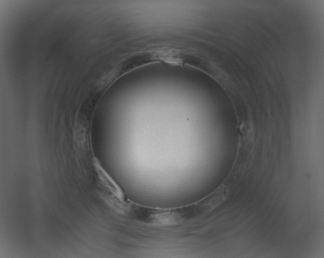 X0000051910417200506241448