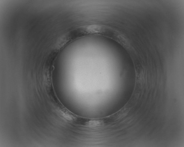 X0000051910418200506241448