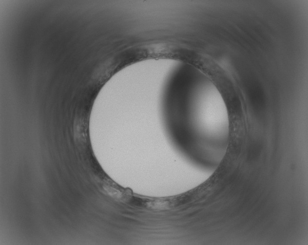 X0000051910419200506241448