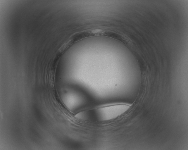 X0000051910421200506241448