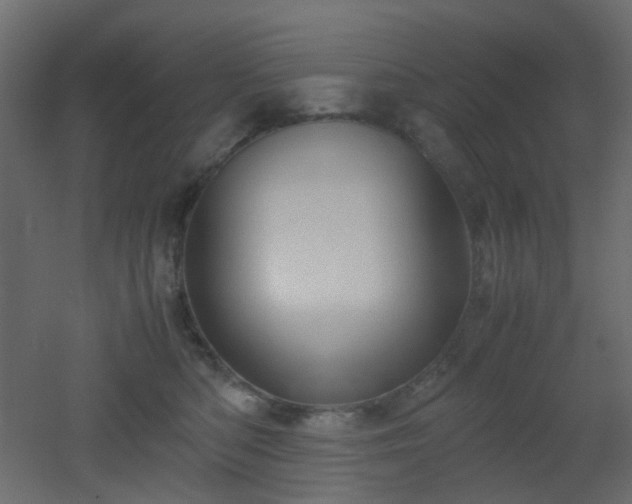 X0000051910422200506241448