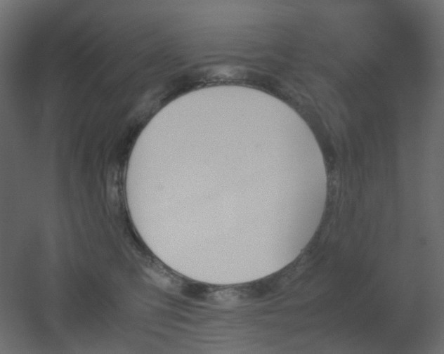 X0000051910423200506241448