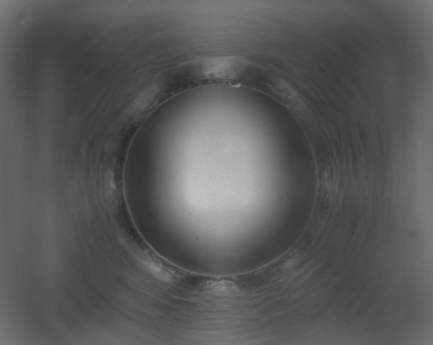 X0000051910424200506241448