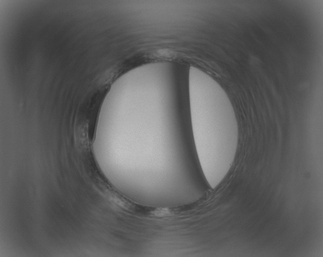 X0000051910425200506241448