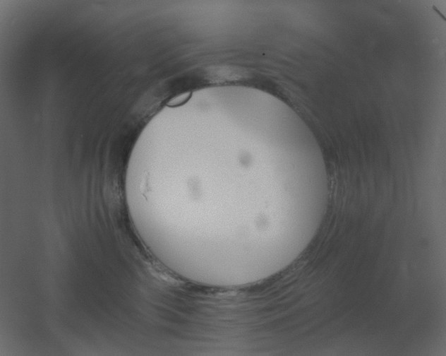 X0000051910426200506241448