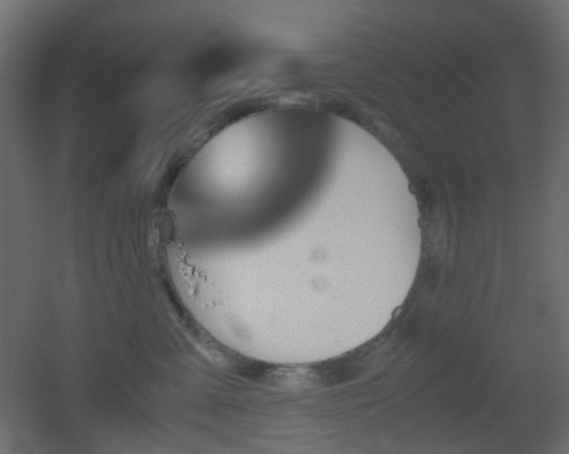 X0000051910427200506241448