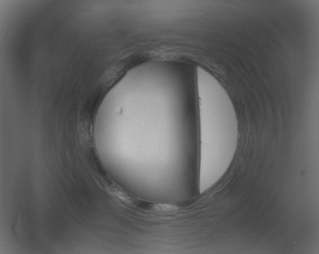 X0000051910429200506241448