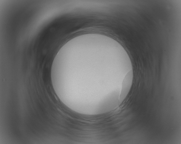 X0000051910431200506241448