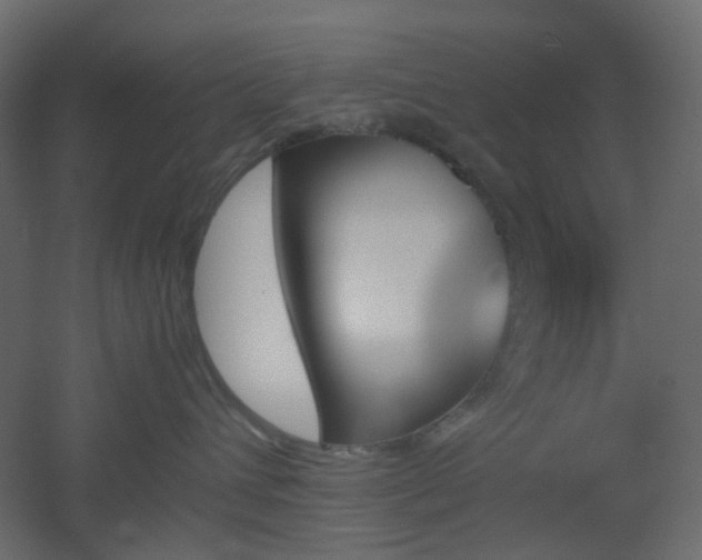 X0000051910432200506241448