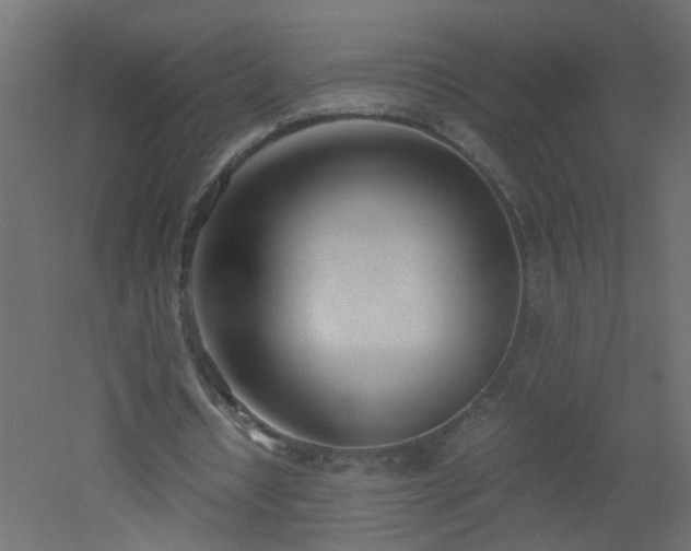 X0000051910434200506241447