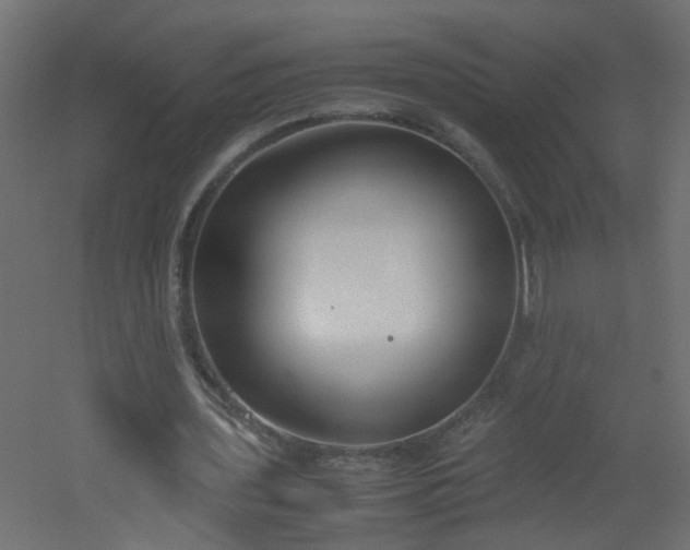 X0000051910435200506241447