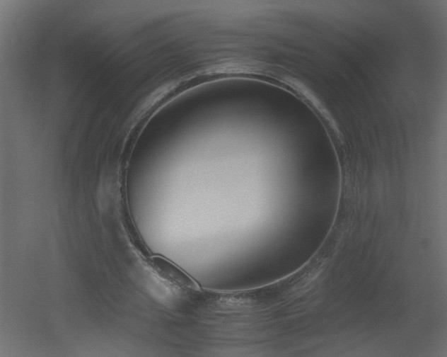 X0000051910437200506241447