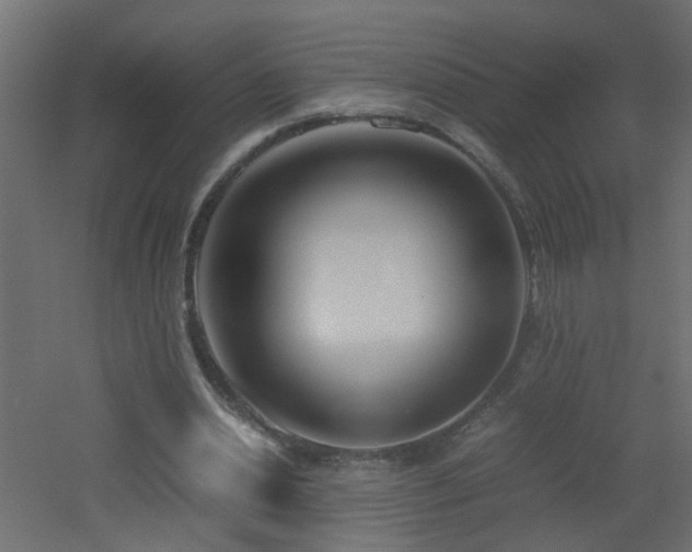 X0000051910438200506241447