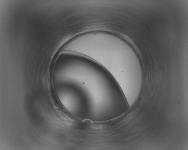 X0000051910439200506241447