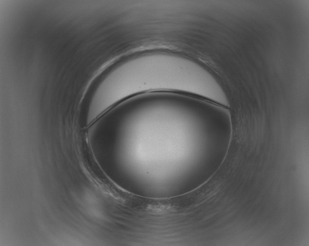 X0000051910440200506241447