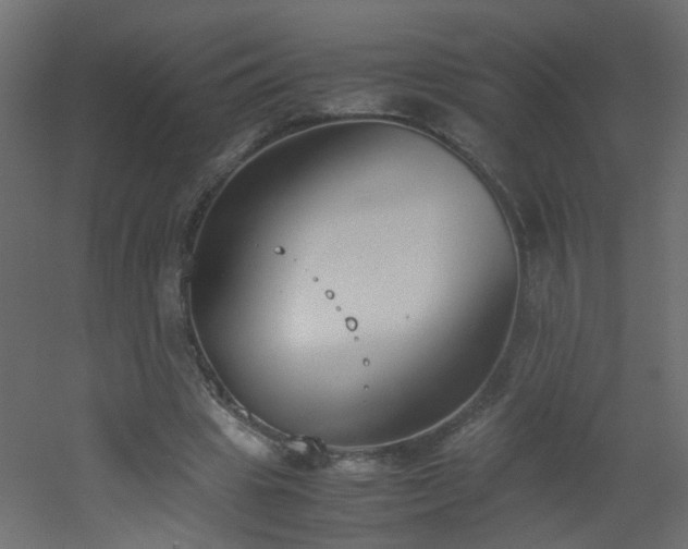 X0000051910441200506241447