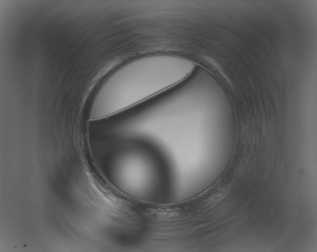 X0000051910443200506241447