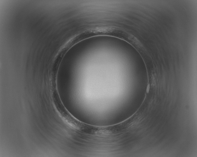 X0000051910444200506241447