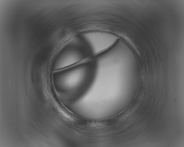 X0000051910445200506241447