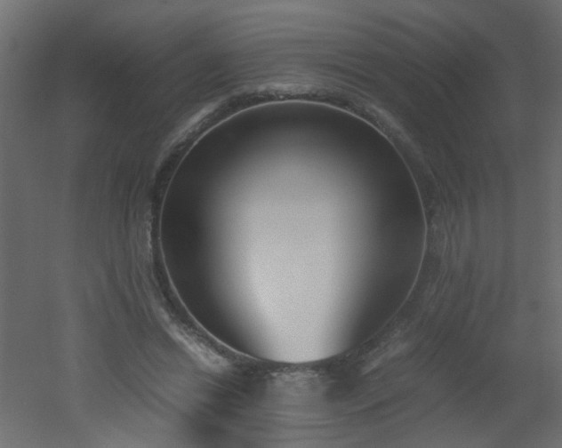 X0000051910446200506241447