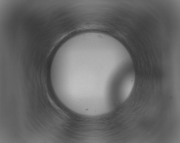 X0000051910448200506241447