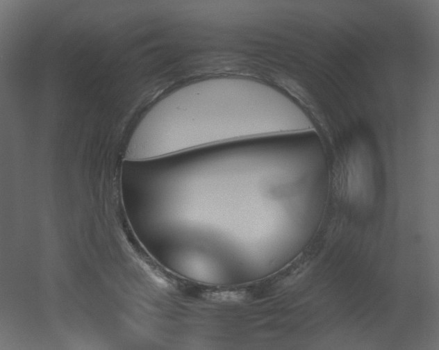 X0000051910449200506241447