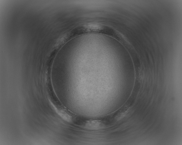 X0000051910451200506241447