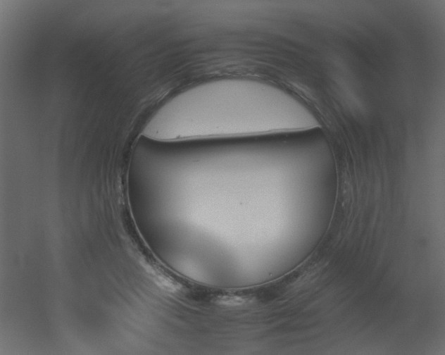 X0000051910453200506241447