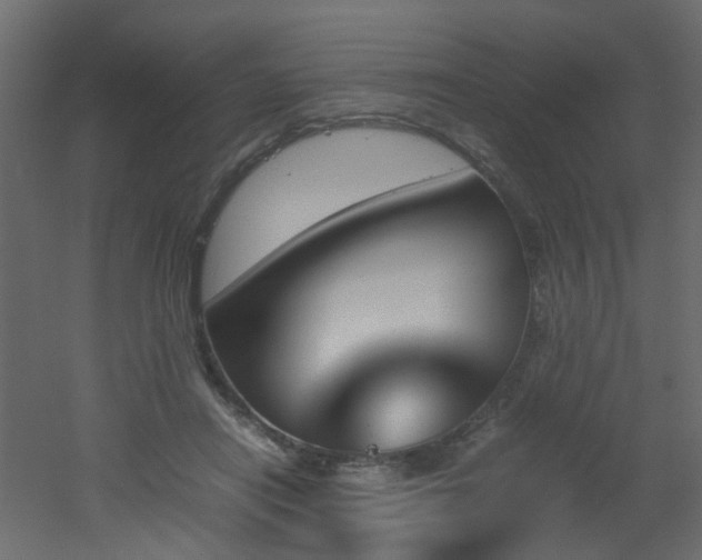 X0000051910454200506241447