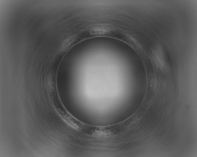 X0000051910455200506241447