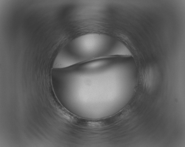 X0000051910457200506241447