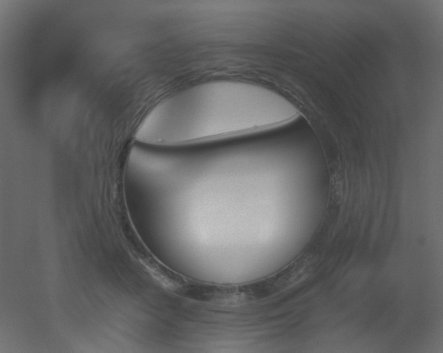 X0000051910458200506241447