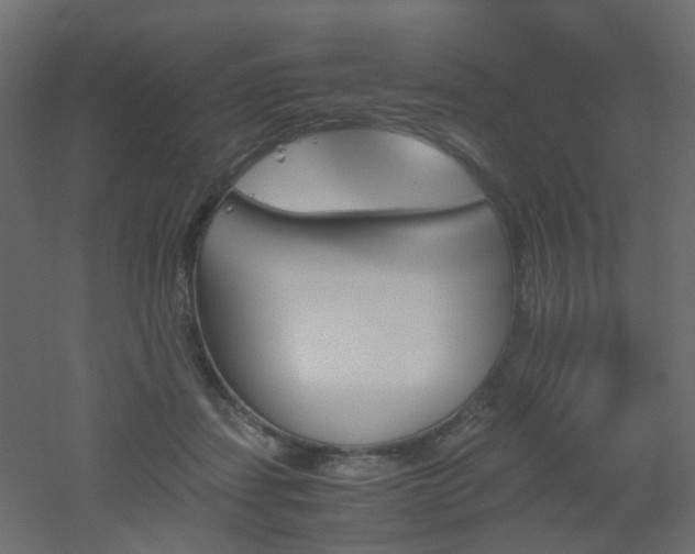 X0000051910459200506241447