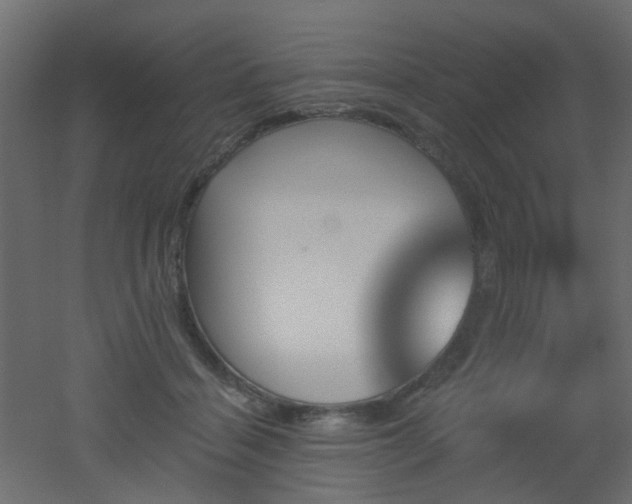 X0000051910460200506241447