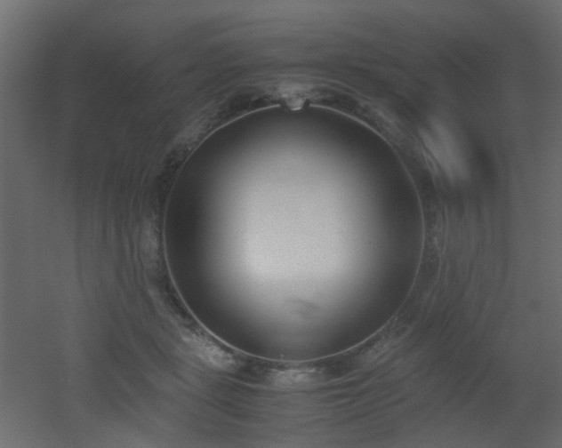 X0000051910461200506241447